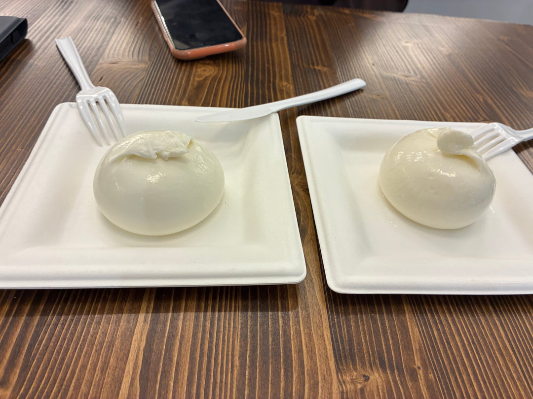 冷凍と冷蔵、モッツァレラを食べ比べてみました